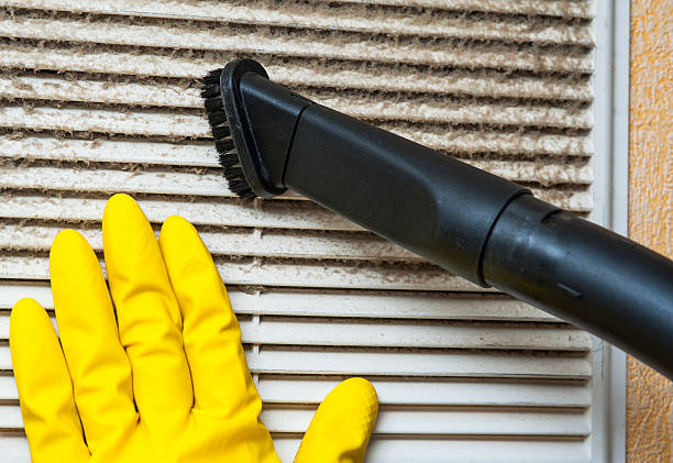 Best HVAC Air Duct Cleaning  in Staples, MN
